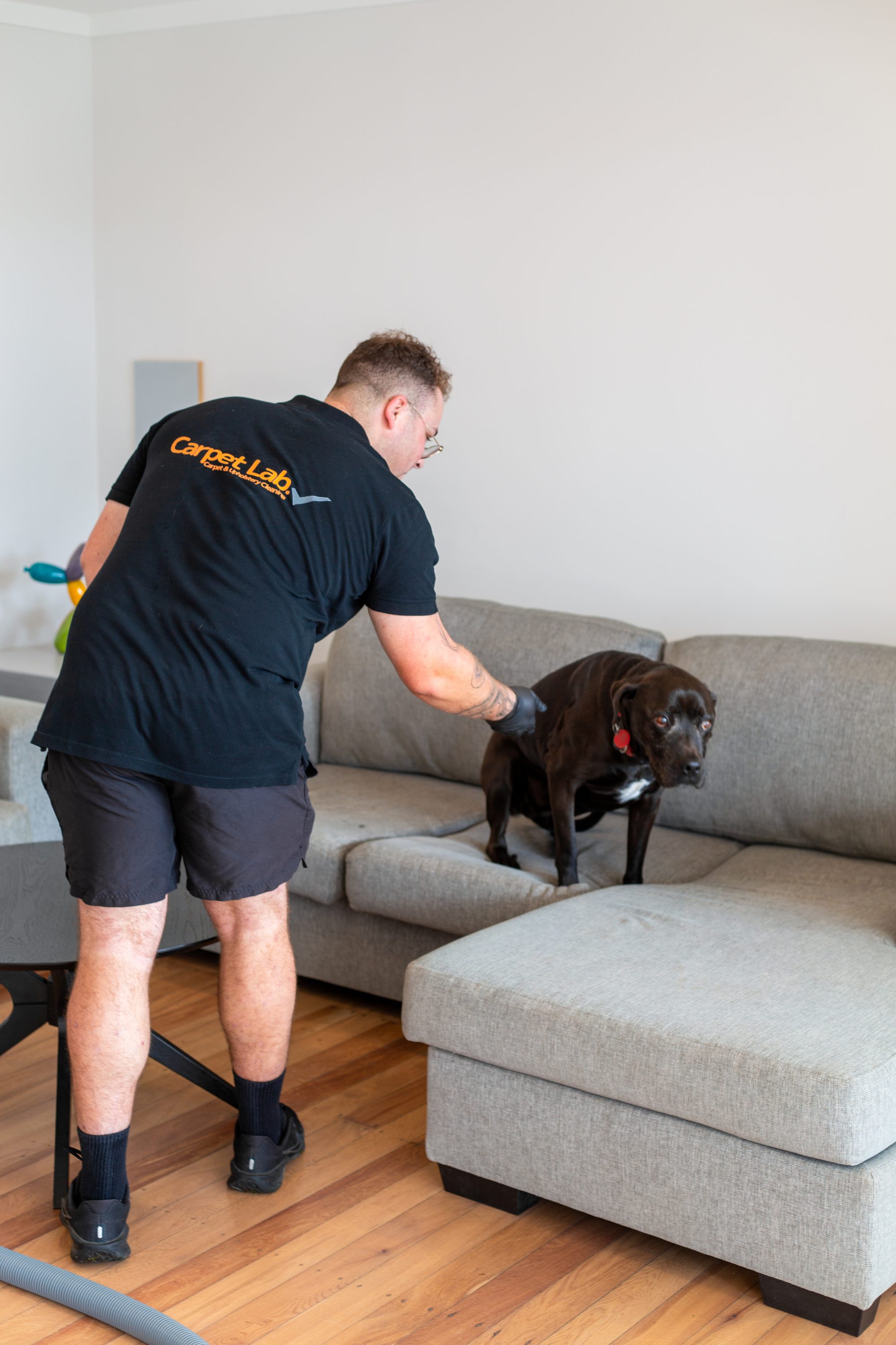 Carpet Lab technician treating and extracting a marked area of a sofa cushion