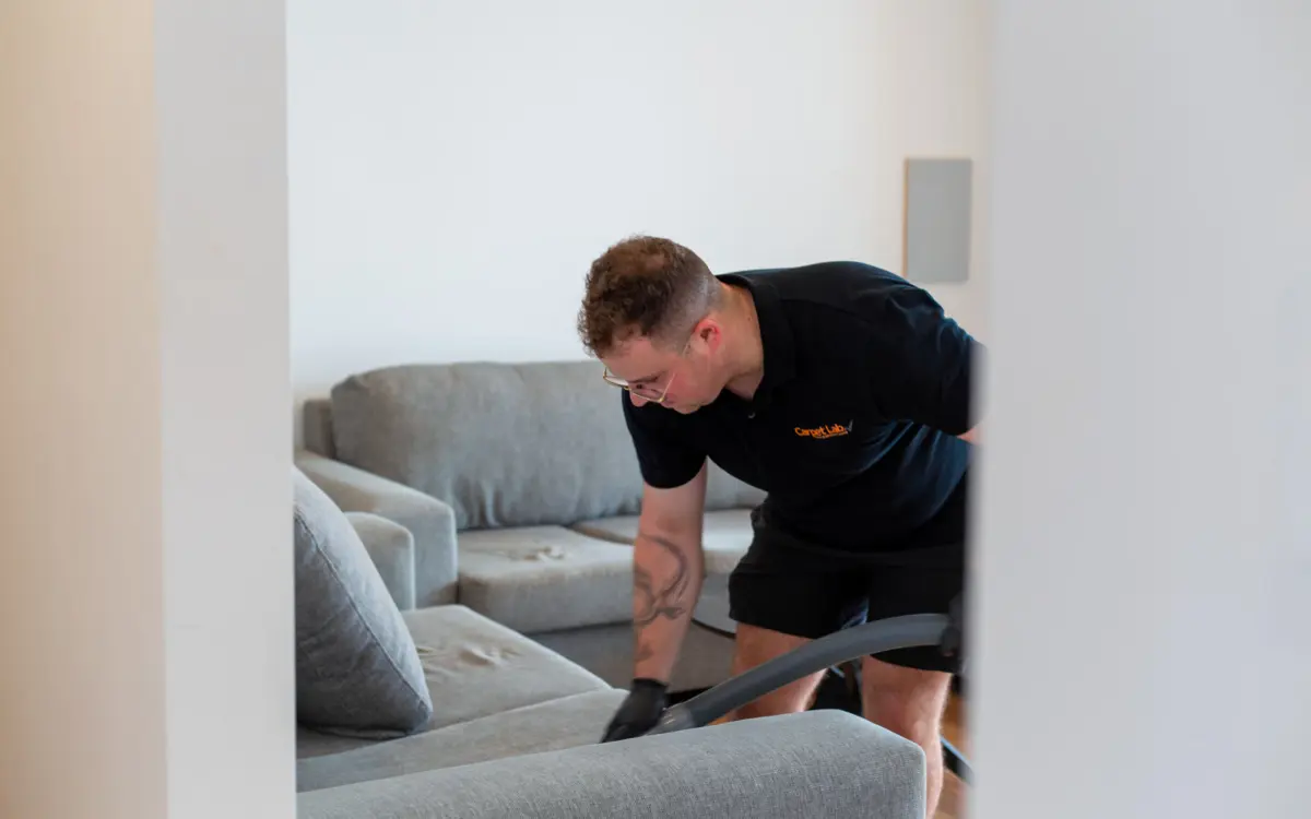 How to Keep Carpets Clean Between Professional Cleans