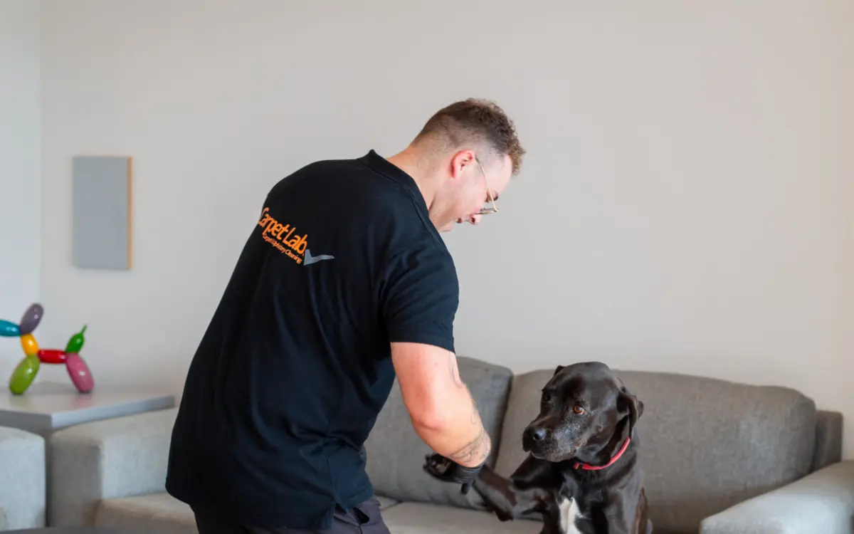 Carpet Lab technician beside a dog on a fabric sofa